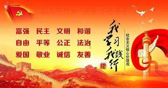 动物虚拟解剖系统:猫猴共处引争议,动物保护协会已接管